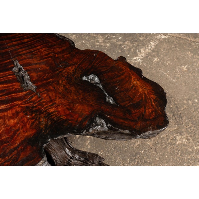 Mid 20th Century Live-Edge Burlwood Root Coffee Table For Sale In Chicago - Image 6 of 9