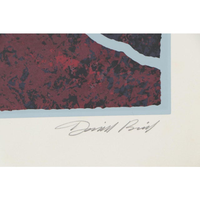 David Bird Rockies Serigraph Limited Edition Signed Modernist Mountain Range Framed For Sale - Image 4 of 12