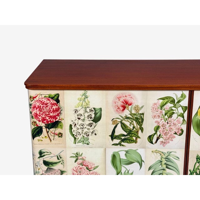 Swedish Modern, La Belgique Horticole Cabinet, Mahogany, Sweden, 1950s For Sale - Image 9 of 13