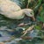Signed J. Evans Duck Pond Oil Painting, English Country Landscape, Framed For Sale - Image 4 of 6