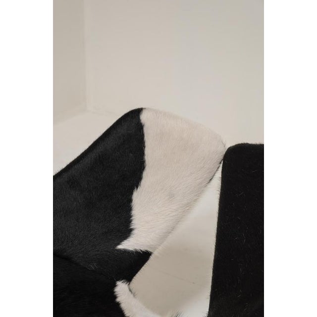 Animal Skin Zen Lounge Chair in Cowhide attributed to Kwok Hoi Chan for Steiner, 1970s For Sale - Image 7 of 14