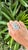 Set in 18k White Gold, 16.20 Carats Aquamarine & Diamond Oversized Cocktail Ring, Size 6 For Sale - Image 6 of 13