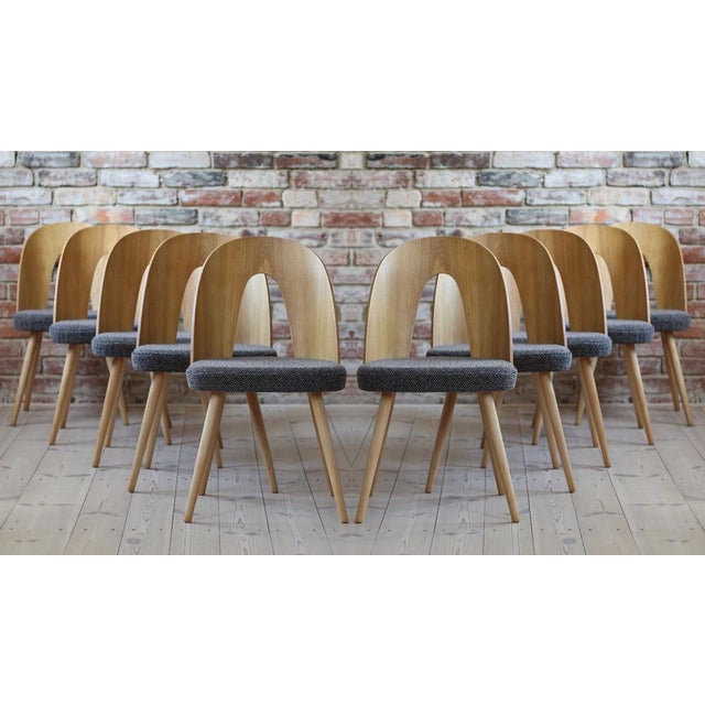 Mid-Century Dining Chairs by A. Suman, Set of 10 For Sale - Image 17 of 17