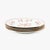 Set of 4 Antique Chinese Export Porcelain Pink or Familie Rose Floral Plates For Sale In Philadelphia - Image 6 of 18