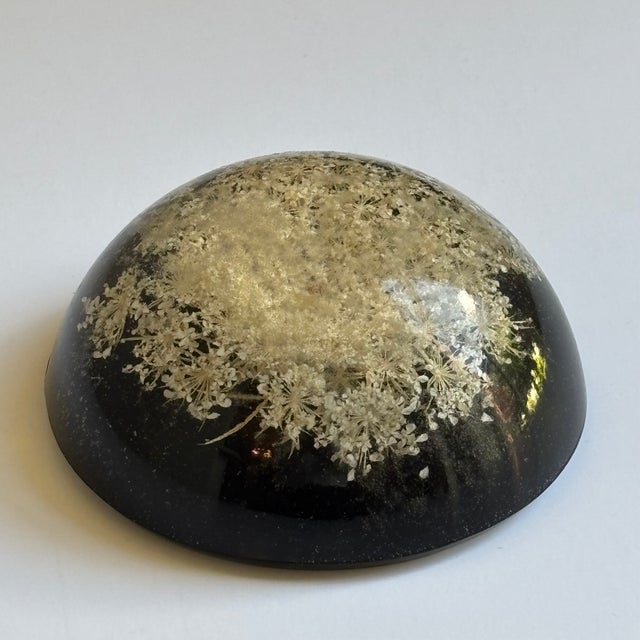 Mid-20th Century Signed William Rolfe Botanical Resin Paperweight For Sale - Image 11 of 15
