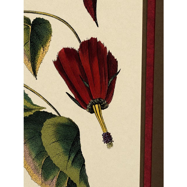 Vintage Framed “Jenna’s Flowers” Print by Decorative Arts, Inc. For Sale - Image 4 of 9