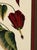 Vintage Framed “Jenna’s Flowers” Print by Decorative Arts, Inc. For Sale - Image 4 of 9