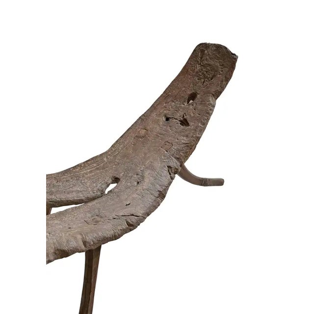 Antique Javanese Burl Wood Bench Hand-Carved Sculptural Seat, C. 1900 For Sale - Image 4 of 10