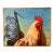 Folk Art Rooster Archival Giclee Print, by Pam Lewis For Sale
