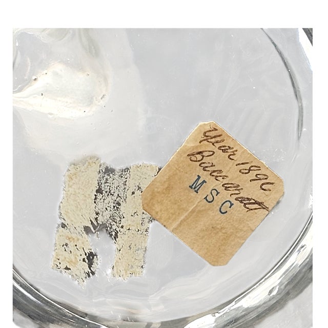 Baccarat “Fleur-De-Lys” Wheel-Engraved Decanter, Signed For Sale - Image 13 of 13