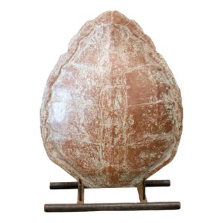 20th Century Fiber Turtle Shell Sculpture with Iron Support For Sale