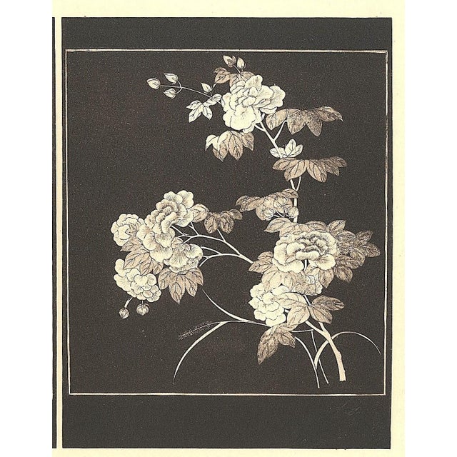 1925 Antique Art Deco Chinese Coromandel Screen Lithograph-Botanical, Documentation For Sale - Image 4 of 5
