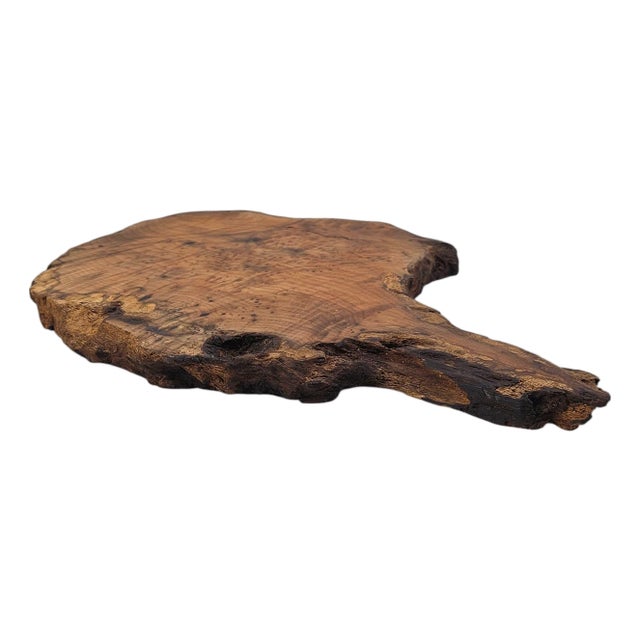 Japanese Bonsai Stand Organic Modern Wood Burl Shou Sugi Ban16" For Sale