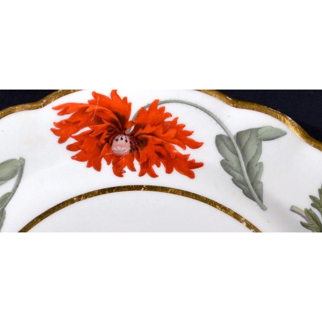 Flight & Barr Worcester Porcelain Botanical Dessert Plate, Circa 1792–1804 Two flame-red poppies, their petals shredded...