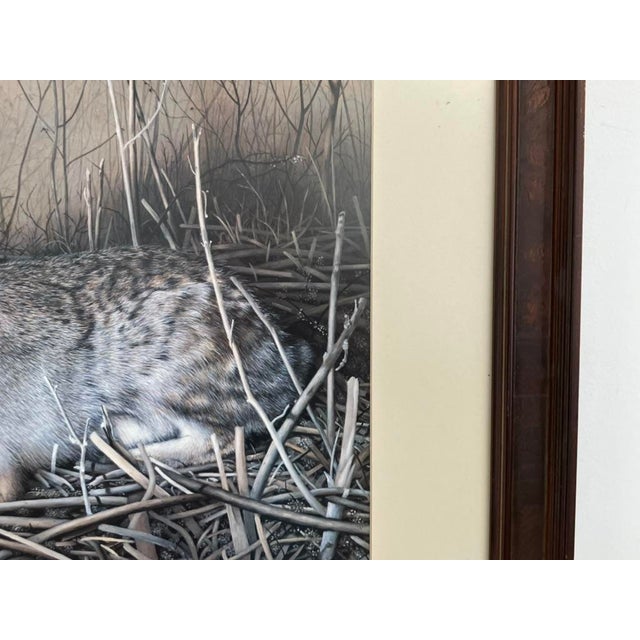 Charles Fracé “My Friend – Eastern Cottontail” Limited Edition Wildlife Print For Sale - Image 9 of 14
