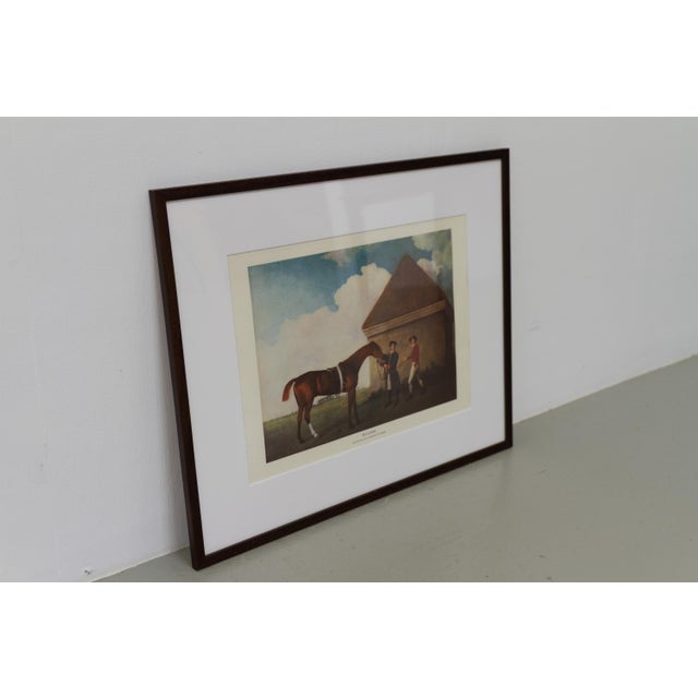 George Stubbs, Chestnut Horse Eclipse, Late 20th Century, Print, Framed For Sale - Image 12 of 14