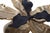 Hand finished in bright gold and matte black this tropical orchid flower will bring a sense of whimsy to a tabletop or as...