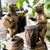 Vintage Castilian Bronze Animal Band Sculptures - Playing Guitar and Drum (Model 3036-34a) - A Matched Pair For Sale - Image 11 of 16