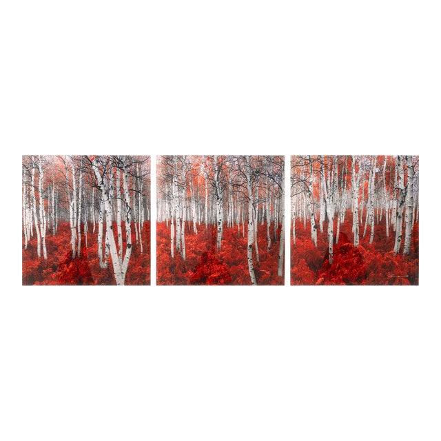 Peter Lik - Rouge (Triptych), 2014 Signed Contemporary Photography Print 534/950 For Sale