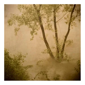 Primo Tempo 2, Flora and Fauna, Print