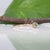 Metal Demantoid Garnet Ring With Earth-Mined Diamond Accents: Solid 14k Gold, 4.25mm, Size 6.75 For Sale - Image 7 of 9
