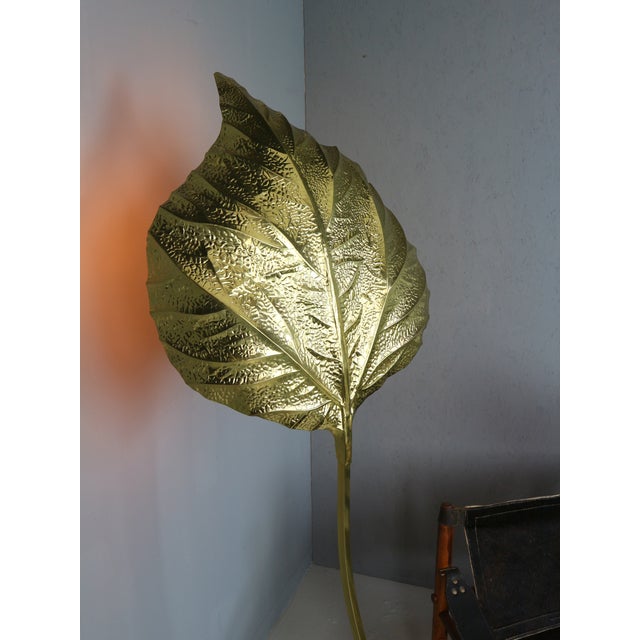 Vintage Rhubarb Floor Lamp by Tommaso Barbi for Bottega Gadda, 1970 For Sale - Image 14 of 15