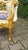 1980s 1980s French Louis XVI Settee in Gilded Beech, Blue Damask & Tan Velvet For Sale - Image 5 of 12