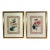 Antique Botanical Prints of Geranium by Robert Sweet For Sale