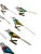 Mid 20th Century Set of 8 Mercury Glass Bird Clip on Ornaments For Sale - Image 5 of 5