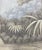 Not Yet Made - Made To Order Tropical Views , Tropical Scenery, Hand-Painted Panoramic Wallpaper For Sale - Image 5 of 9
