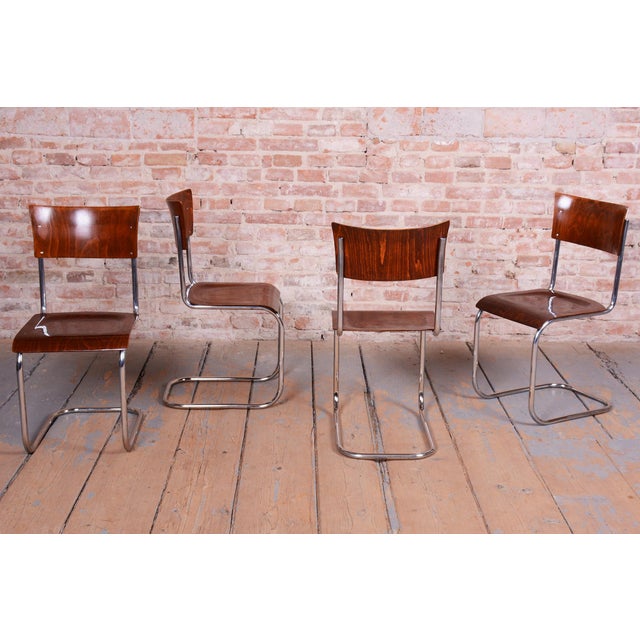 Bauhaus Chairs in Beech and Chrome-Plated Steel, Czech, 1930s, Set of 4 For Sale - Image 4 of 14