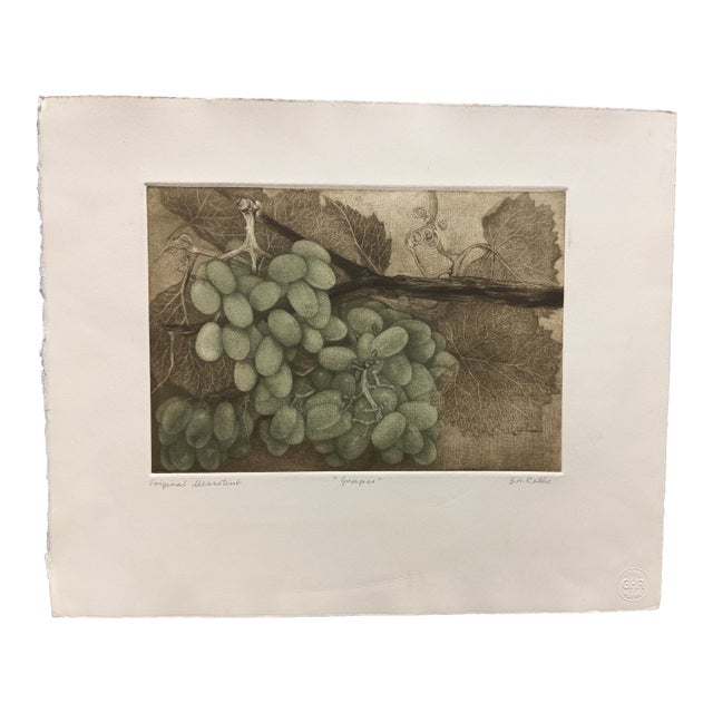 G H Rothe Grapes Art Hand Signed Limited Edition 1983 on Paper Fruits Original For Sale