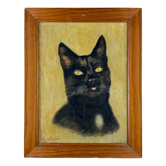 Cat Portrait, 1920s, Oil Painting on Panel, Framed For Sale