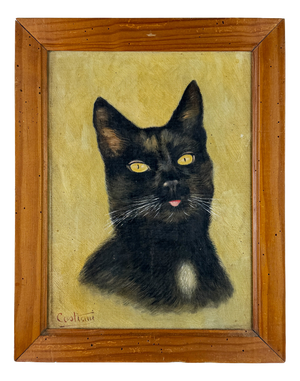 Cat Portrait, 1920s, Oil Painting on Panel, Framed
