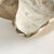 Kenneth Ludwig Chicago Arabella Decorative Bowl For Sale - Image 4 of 8