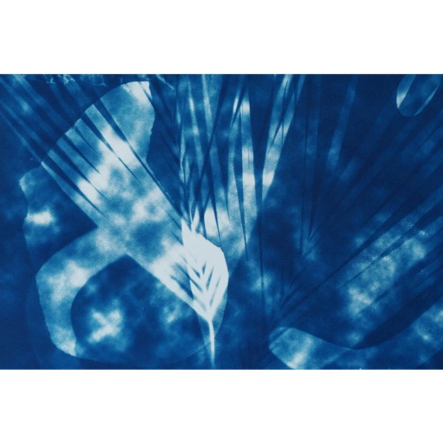 Botanical Cyanotype With Abstract Cloudy Shades,Photogram Made on Watercolor Paper, Deep Range of Blues, 50xx70cm For Sale In Miami - Image 6 of 10