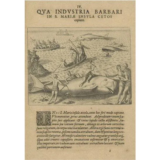 Paper De Bry, The Whale Harvest of St. Mary's Island, Copper Engraving, 1601 For Sale - Image 7 of 7