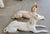 A pair of life-size recumbent cast iron Greyhound or Whippet dogs by renowned maker J. W. Fiske foundry of New York....