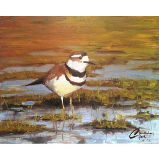 Looking for Breakfast by Christopher Clark | Oil Painting of a bird standing in grass. For Sale