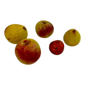 Vintage Alabaster Stone Fruit - Collection of 5