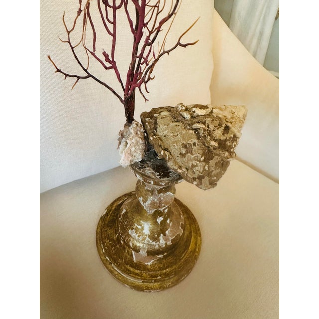 Gold Sea Fan Shell Art on Italian Gold Gilt Base For Sale - Image 8 of 10
