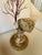 Gold Sea Fan Shell Art on Italian Gold Gilt Base For Sale - Image 8 of 10