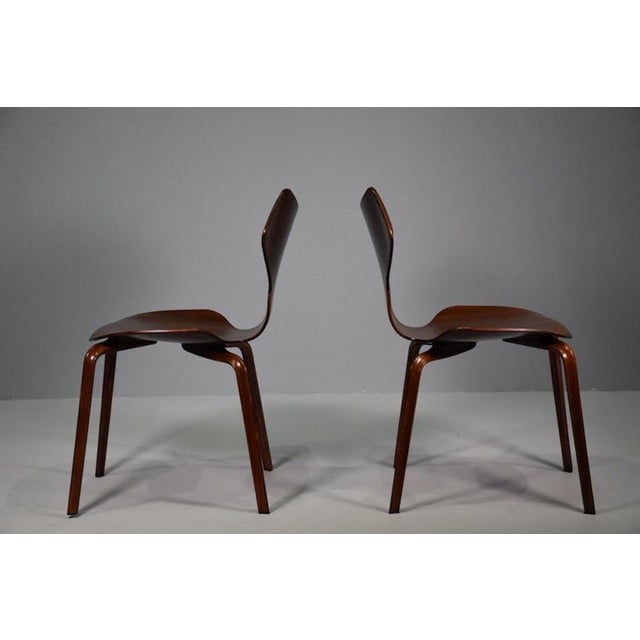 Twelve Grand Prix Wooden Chairs by Arne Jacobsen for Fritz Hansen, 1950, Set of 12 For Sale - Image 13 of 18