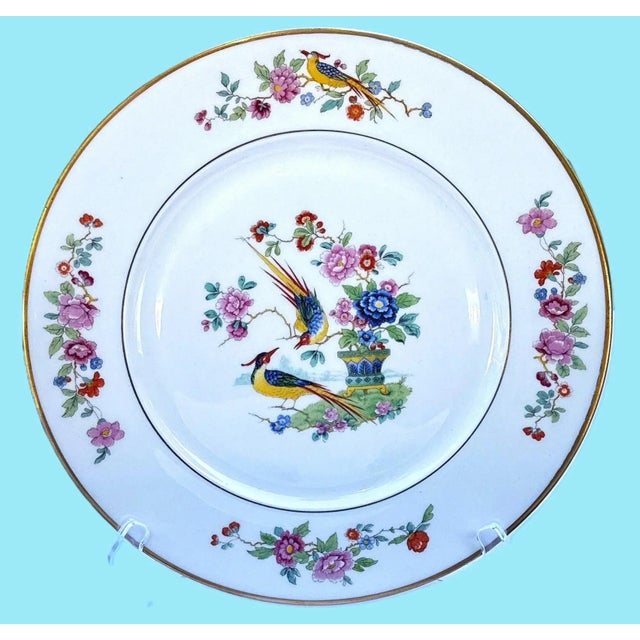 Ivory Vintage Lamberton China Audubon Collection - Bird of Paradise - 8 Dinner Plates For Sale - Image 8 of 13