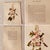 ….ONE of the great collectible natural history portfolios of the 20th century — the complete set of 50 full-color Audubon...