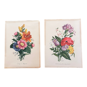 Pair of Vintage Botanical Floral Prints
