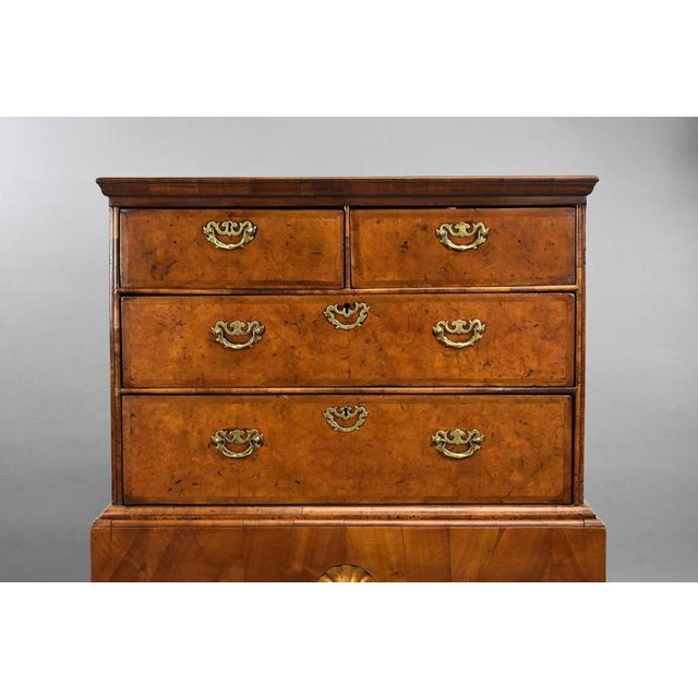 George III Burr Walnut Chest on Stand, 1800 For Sale - Image 6 of 13