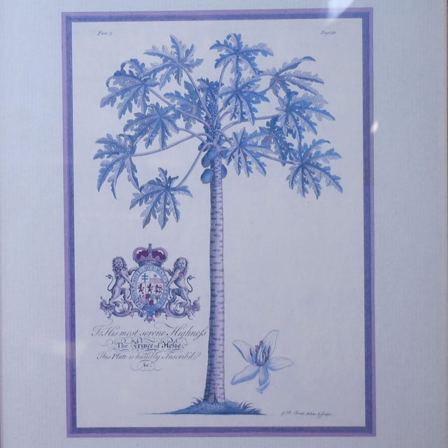 Late 20th Century Set of 4 Vintage Gold Frame Palm Art For Sale - Image 5 of 6