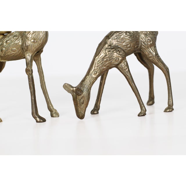 Midcentury Brass Deer Candle Holders, Stag and Doe Pair For Sale - Image 4 of 14