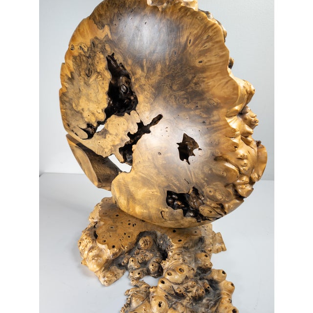 21st Century Modernist Contemporary Carved Burl Wood Vase by Warren Vienneau For Sale - Image 11 of 13